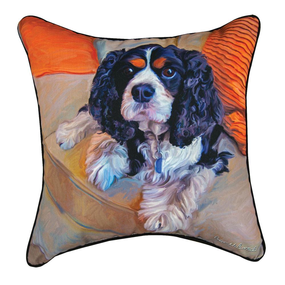 Charles In Charge Pillow